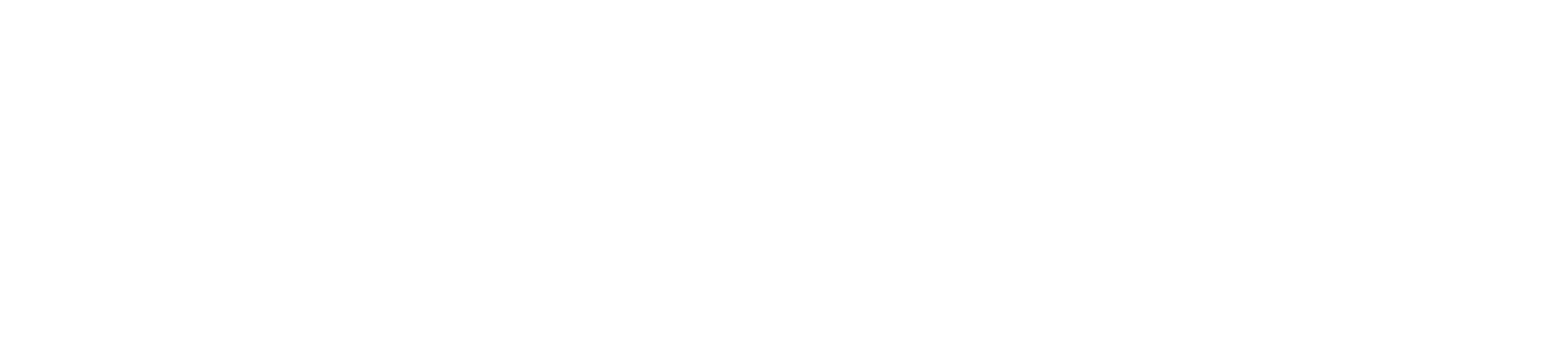 Grupo Soma fashion retail group logo